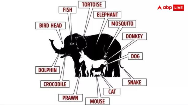 अगर आप नहीं खोज पाएं हैं तो हम आपको इसका उत्तर देने जा रहे हैं. पूछी गई तस्वीर का उत्तर दिया जा चुका है. 20 सेकंड में जवाब देने वाले लोगों को बधाई.