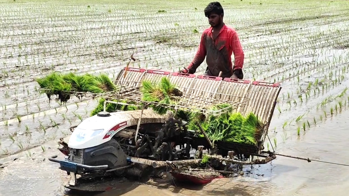 100 நாள் வேலை திட்டத்திற்கு  நிகரான புதிய திட்டத்தை தமிழக முதல்வர் ஏற்படுத்த வேண்டும்; முதலமைச்சருக்கு ஒர் வேண்டுகோள்....!