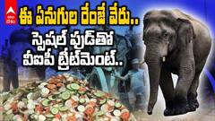 మైసూరు దసరా వేడుకల్లో ఏనుగులకు స్పెషల్ ట్రీట్‌మెంట్