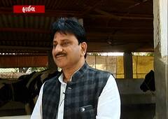 Mehsana: દૂધ સાગર ડેરીમાં અશોક ચૌધરીની હવે બીજી ટર્મ, ચેરમેન પદ માટે ભાજપે ફરી આપ્યુ મેન્ડેડ