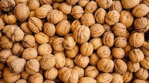 Walnuts: ਜੋ ਲੋਕ ਰੋਜ਼ਾਨਾ ਅਖਰੋਟ ਖਾਂਦੇ ਹਨ। ਉਨ੍ਹਾਂ ਨੂੰ ਦਿਲ ਨਾਲ ਸਬੰਧਤ ਗੰਭੀਰ ਬਿਮਾਰੀਆਂ ਦਾ ਖ਼ਤਰਾ ਘੱਟ ਹੁੰਦਾ ਹੈ। ਇਸ ਵਿੱਚ ਮੌਜੂਦ ਕੈਲਸ਼ੀਅਮ, ਵਿਟਾਮਿਨ, ਮਿਨਰਲਸ ਅਤੇ ਪ੍ਰੋਟੀਨ ਸਾਡੇ ਸਰੀਰ ਨੂੰ ਸਿਹਤਮੰਦ ਬਣਾਉਂਦੇ ਹਨ।