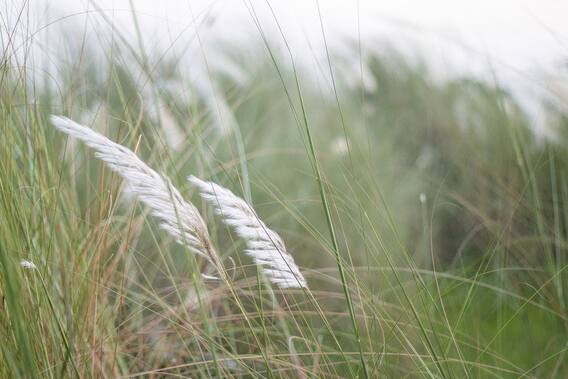 Punjab Weather: ਬਦਲ ਗਿਆ ਮੌਸਮ, ਦਿਨ ਗਰਮ ਤੇ ਰਾਤਾਂ ਹੋਈਆਂ ਠੰਡੀਆਂ