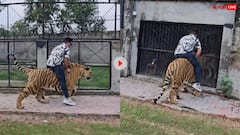 पाकिस्तान के शख्स ने घोड़े की तरह शेर पर की सवारी, वायरल वीडियो देख यकीन नहीं कर पाएंगे आप