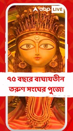 ৭৫ বছরে বাঘাযতীন তরুণ সংঘের পুজো, এবার তাদের মণ্ডপ সজ্জায় ফুটে উঠেছে মহিলাদের উত্তরনের গল্প