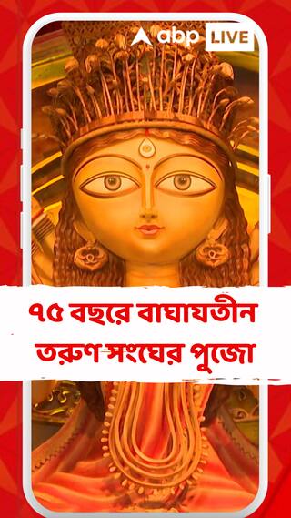 ৭৫ বছরে বাঘাযতীন তরুণ সংঘের পুজো, এবার তাদের মণ্ডপ সজ্জায় ফুটে উঠেছে মহিলাদের উত্তরনের গল্প