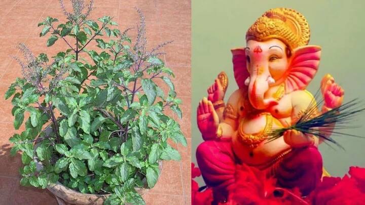 गणपतीस तुळस वाहू नये.