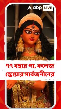 ৭৭ বছরে পা কলেজ স্কোয়ার সার্বজনীন দুর্গোৎসবের, থিম সুইজারল্যান্ডের পার্লামেন্ট