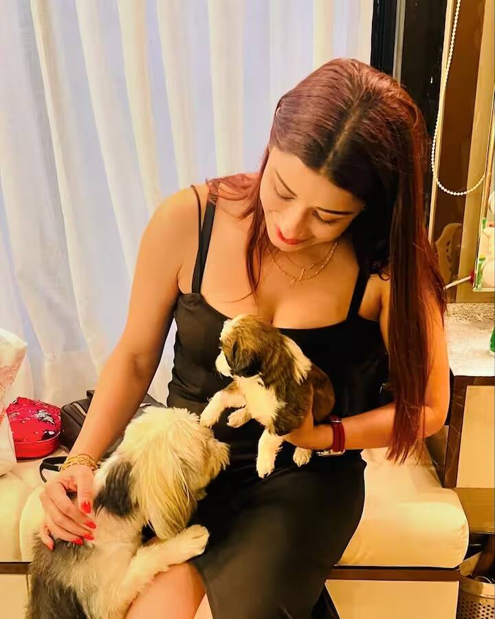 तेलुगु व्यतिरिक्त नायरा 'काल धमाल मालामाल' या हिंदी चित्रपटातही दिसली आहे.