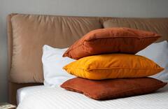 ટોયલેટ સીટ કરતાં પલંગના ઓશીકું, ગાદલા અને ચાદરમાં 17000 ગણા વધુ બેક્ટેરિયા હોય છે, જાણો કેટલા દિવસે બદલવા જોઈએ?