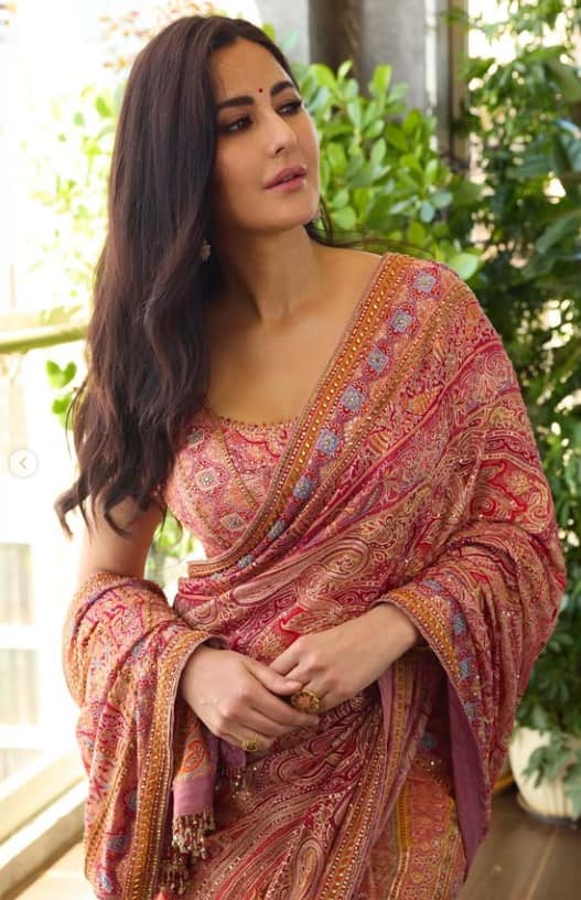 ਗੰਭੀਰ ਸਮੱਸਿਆ ਨਾਲ ਜੂਝ ਰਹੀ ਕੈਟਰੀਨਾ ਕੈਫ਼? ਖੁੱਲ੍ਹਿਆ ਰਾਜ਼