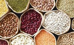 કઠોળ પોષક તત્વોથી ભરપૂર , સ્વાસ્થ્ય માટે છે ખૂબ જ ફાયદાકારક