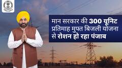 मान सरकार की 300 यूनिट प्रतिमाह 'मुफ्त बिजली' योजना से रोशन हो रहा पंजाब