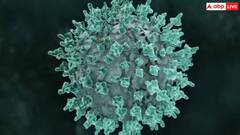 Marburg Virus: ਦੁਨੀਆ ਦੇ ਸਭ ਤੋਂ ਖਤਰਨਾਕ ਵਾਇਰਸ ਮਾਰਬਰਗ  ਨਾਲ 12 ਤੋਂ ਵੱਧ ਲੋਕਾਂ ਦੀ ਮੌਤ, ਜਾਣੋ ਇਸਦੇ ਲੱਛਣ