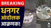 Dhangar Reservation : धनगर आरक्षणासाठी मंत्रालयातील जाळ्यावरून उड्या मारल्या, जोरदार घोषणाबाजी; आंदोलक आक्रमक