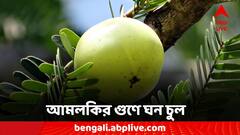 Amla Water: আমলকির জাদুতে ঝলমলে চুল, গোড়া থেকে মজবুত করতে কীভাবে ব্যবহার?
