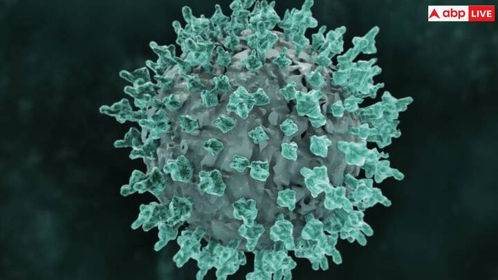 मारबर्ग वायरस मुख्य रूप से जानवरों से प्राप्त 'जूनोटिक' है. और यह संक्रमित फल चमगादड़ों से या संक्रमित व्यक्ति के संक्रमित शरीर के तरल पदार्थ के सीधे संपर्क से भी मनुष्यों में फैल सकता है.