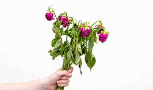 देव्हाऱ्यात सुकलेली फुलं अजिबात ठेवू नये.