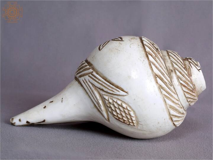 देव्हाऱ्यात एकापेक्षा जास्त शंख ठेवू नये, अन्यथा याचा आरोग्यावर परिणाम होतो.