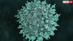 વિશ્વના સૌથી ખતરનાક વાયરસ મારબર્ગને કારણે 12 થી વધુ લોકોના મોત, જાણો શુ છે તેના લક્ષણો