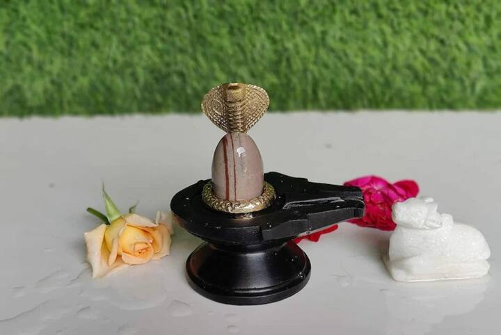 तुम्हाला जर शिवलिंग देव्हाऱ्यात ठेवायचं असेल तर ते अंगठ्यापेक्षा मोठ्या आकाराचं असू नये.