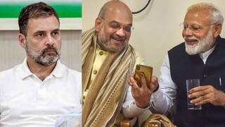 Haryana Elections Results 2024: हरियाणात  भाजपची ऐतिहासिक हॅटट्रिक, आतापर्यंतचा सर्वात मोठा विजय; लोकसभेनंतर मोठा दिलासा