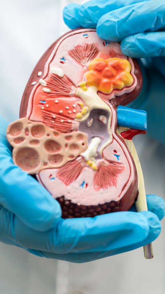 ఈ పనులు చేస్తే కిడ్నీలకు మంచిది కాదు.. జాగ్రత్త