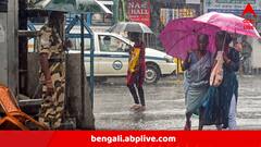 ষষ্ঠীতেও পিছু ছাড়ছে না বৃষ্টি, সপ্তমী-অষ্টমীতেও ভিজবে বাংলা, কলকাতায় কেমন কাটবে পুজোর ক'টা দিন?