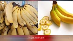 ਕਾਰਬਾਈਡ ਕੈਮਿਕਲ ਨਾਲ ਪੱਕੇ ਕੇਲਿਆਂ ਦੀ ਇਨ੍ਹਾਂ 5 ਟ੍ਰਿਕਸ ਨਾਲ ਕਰੋ ਪਛਾਣ, ਇੰਝ ਬਚਾਓ ਖੁਦ ਨੂੰ ਜ਼ਹਿਰ ਖਾਣ ਤੋਂ