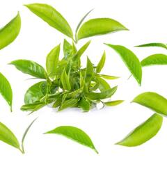 ਕਿਤੇ ਨਕਲੀ ਚਾਹ ਪੱਤੀ ਦੀ ਤਾਂ ਨਹੀਂ ਕਰ ਰਹੇ ਵਰਤੋਂ? ਮਿਲਾਵਟੀ ਪੱਤੀ ਦੀ ਚਾਹ ਪੀਣਾ ਨੁਕਸਾਨਦਾਇਕ, ਇੰਝ ਕਰੋ ਅਸਲੀ-ਨਕਲੀ ਦੀ ਪਛਾਣ