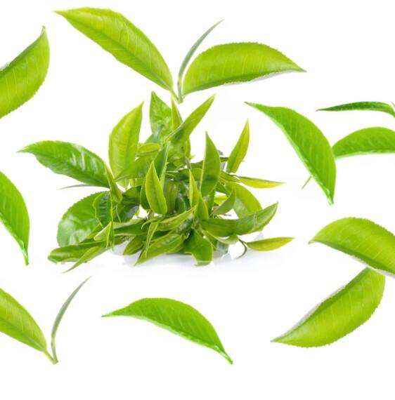 ਚਾਹ ਪੱਤੀ ਦੀ ਸ਼ੁੱਧਤਾ ਦੀ ਜਾਂਚ ਕਰਨ ਦਾ ਇੱਕ ਆਸਾਨ ਤਰੀਕਾ ਹੈ ਰੰਗ ਟੈਸਟ। ਇਸ ਦੇ ਲਈ ਤੁਹਾਨੂੰ ਇੱਕ ਪਾਰਦਰਸ਼ੀ ਗਲਾਸ ਲੈ ਕੇ ਉਸ ਵਿੱਚ ਨਿੰਬੂ ਦਾ ਰਸ ਅਤੇ ਕੁਝ ਚਾਹ ਪੱਤੀਆਂ ਪਾਓ।