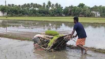 Thanjavur news Graduates in plantation work in kumbakonam - TNN படித்த படிப்புக்கு வேலையில்லை... கிடைத்த வேலையிலும் போதிய சம்பளம் இல்லை: நாற்று நடும் பணியில் பட்டதாரிகள்