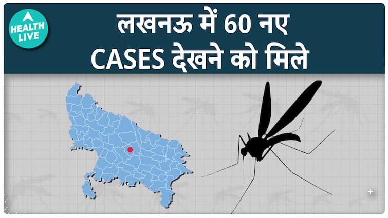 Variety of dengue sufferers in Lucknow crosses 600 |  Dengue | ABP Well being Dwell