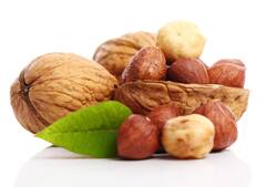 Walnut Benefits : અખરોટ સ્કિનને યંગ રાખવાની સાથે સ્વાસ્થ્ય માટે પણ હિતકારી, જાણો સેવનના અદભૂત ફાયદા