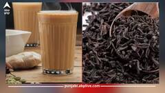 ਕਿਤੇ ਨਕਲੀ ਚਾਹ ਪੱਤੀ ਦੀ ਤਾਂ ਨਹੀਂ ਕਰ ਰਹੇ ਵਰਤੋਂ? ਮਿਲਾਵਟੀ ਪੱਤੀ ਦੀ ਚਾਹ ਪੀਣਾ ਨੁਕਸਾਨਦਾਇਕ, ਇੰਝ ਕਰੋ ਅਸਲੀ-ਨਕਲੀ ਦੀ ਪਛਾਣ