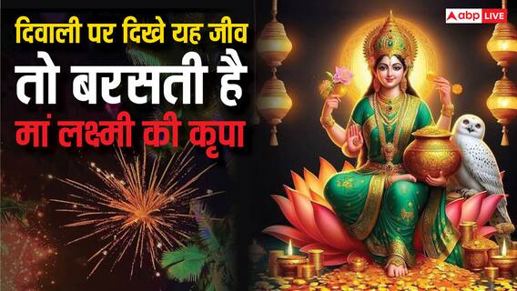 Diwali 2024: दिवाली पर अगर इस जीव को घर में देख लिया तो समझें लग गई आपकी लॉटरी