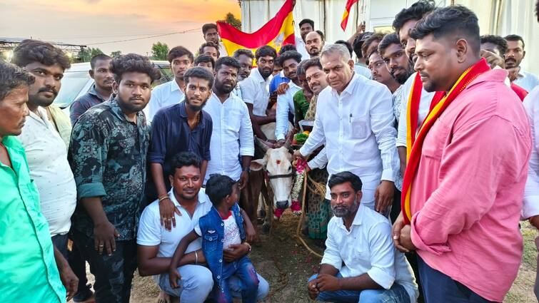 Tvk Vijay who gave a cow to an old man in Vikravandi - TNN 