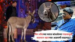 बिग बॉसच्या घरात बांधलेल्या गाढवामुळे सलमान खानच्या अडचणी वाढणार? PETA नं धाडलंय पत्र