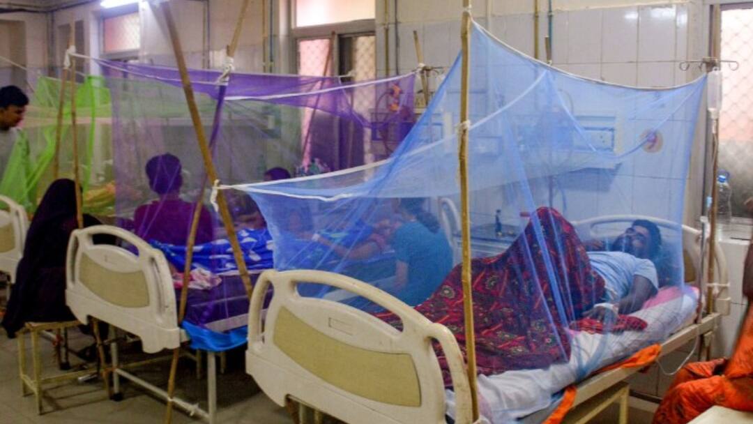 UP Dengue Update: 900 के पार पहुंची लखनऊ में डेंगू मरीजों की संख्या, 436 लोगों में मलेरिया और 67 में चिकनगुनिया की पुष्टि UP Dengue Update Lucknow crosses 900 patients malaria and chikungunya also confirmed ann UP Dengue Update: 900 के पार पहुंची लखनऊ में डेंगू मरीजों की संख्या, 436 लोगों में मलेरिया और 67 में चिकनगुनिया की पुष्टि