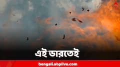 মাত্র চার দশক আগের ঘটনা, দেশের শেষ সতী-কাণ্ডে প্রমাণের অভাবে খালাস ৮ অভিযুক্ত