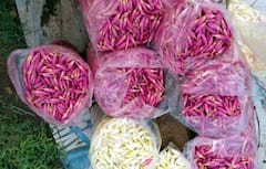 ஆயுத பூஜை , முகூர்த்த நாட்கள்...திண்டுக்கல்லில் பூக்கள் விலை மற்றும் விற்பனை நிலவரம் இதோ