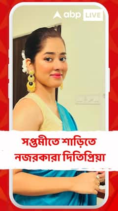 সপ্তমীতে শাড়িতে নজরকারা লুকে দিতিপ্রিয়া