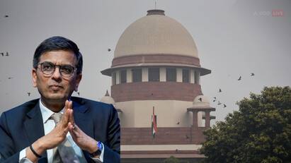 cji dy chandrachud on judiciarys independence says it does not mean deciding against govt CJI DY Chandrachud: বিচারব্যবস্থার স্বাধীনতার অর্থ সরকারের বিরুদ্ধে রায় দেওয়া নয়, মন্তব্য CJI চন্দ্রচূড়ের