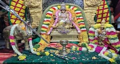 யானைக்கு கரும்பு கொடுத்து, சித்தர் வேடத்தில் காட்சியளித்த மீனாட்சியம்மன்