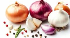 ਨਰਾਤਿਆਂ 'ਚ ਕਿਉਂ ਨਹੀਂ ਖਾਂਦੇ ਲਸਣ ਅਤੇ ਪਿਆਜ? ਜਾਣ ਲਓ ਇਸ ਦੇ ਪਿੱਛੇ ਦੀ ਅਸਲ ਕਹਾਣੀ