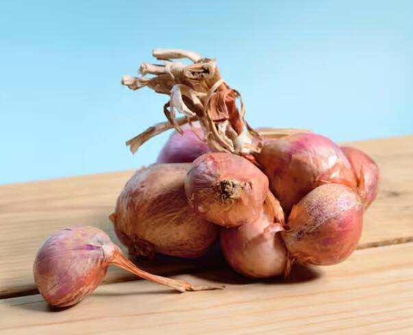 ਇਸ ਤੋਂ ਇਲਾਵਾ ਆਯੁਰਵੇਦ ਅਤੇ ਭਾਰਤੀ ਦਰਸ਼ਨ ਦੇ ਅਨੁਸਾਰ ਭੋਜਨ ਵਿੱਚ ਤਿੰਨ ਤਰ੍ਹਾਂ ਦੇ ਗੁਣ ਹੁੰਦੇ ਹਨ- ਸਤਵ, ਰਜਸ ਅਤੇ ਤਾਮਸ। ਇਹ ਸ਼ਾਂਤੀ, ਊਰਜਾ ਅਤੇ ਸਿਹਤ ਨੂੰ ਉਤਸ਼ਾਹਿਤ ਕਰਦਾ ਹੈ। ਇਸ ਵਿੱਚ ਫਲ, ਸਬਜ਼ੀਆਂ, ਦੁੱਧ ਅਤੇ ਸਾਬਤ ਅਨਾਜ ਸ਼ਾਮਲ ਹੁੰਦੇ ਹਨ।