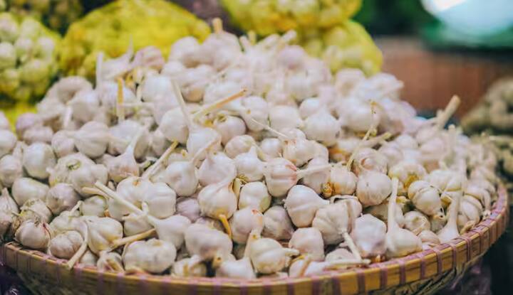 ਭਾਰਤ ਵਿੱਚ ਨਰਾਤਿਆਂ ਦਾ ਤਿਉਹਾਰ ਪਰਿਵਾਰ ਅਤੇ ਸਮਾਜ ਵਿੱਚ ਏਕਤਾ ਦਾ ਪ੍ਰਤੀਕ ਹੈ। ਇਸ ਦੌਰਾਨ ਲੋਕ ਇੱਕ ਦੂਜੇ ਨਾਲ ਵਰਤ ਦੀ ਪਾਲਣਾ ਕਰਦੇ ਹਨ ਅਤੇ ਧਾਰਮਿਕ ਗਤੀਵਿਧੀਆਂ ਵਿੱਚ ਹਿੱਸਾ ਲੈਂਦੇ ਹਨ। ਲਸਣ ਅਤੇ ਪਿਆਜ਼ ਦਾ ਸੇਵਨ ਨਾ ਕਰਨ ਦੀ ਪਰੰਪਰਾ ਇੱਕ ਸਮਾਜਿਕ ਪ੍ਰਥਾ ਹੈ, ਜੋ ਪਰਿਵਾਰ ਦੇ ਸਾਰੇ ਮੈਂਬਰਾਂ ਲਈ ਆਮ ਹੈ। ਇਹ ਸਮੂਹਿਕਤਾ ਅਤੇ ਏਕਤਾ ਨੂੰ ਉਤਸ਼ਾਹਿਤ ਕਰਦਾ ਹੈ।