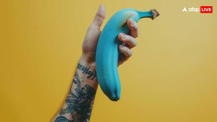 Have you ever seen a blue colored banana, its taste is incredible, its benefits are immense.