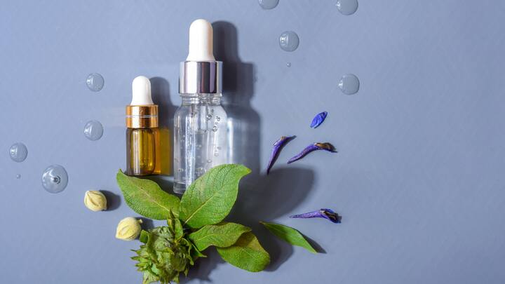 Antioxidants in Skincare: Antioxidants like Vitamin C, niacinamide, and green tea extract help protect skin from free radical damage caused by pollution, UV rays, and stress. Incorporating these ingredients into your daily skincare can also brighten the skin, even out the complexion, and improve the overall resilience of your skin against environmental stressors. (Image source: Canva)