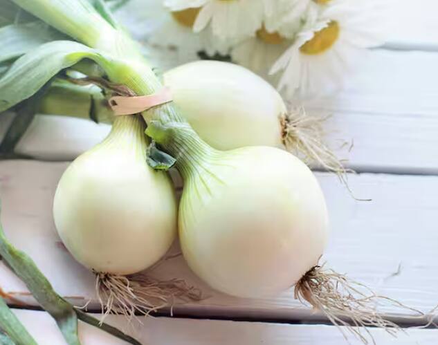 ਇਹ ਗਤੀਵਿਧੀ ਅਤੇ ਉਤਸ਼ਾਹ ਨੂੰ ਵੀ ਵਧਾਉਂਦਾ ਹੈ। ਇਸ ਵਿੱਚ ਮਸਾਲੇਦਾਰ ਅਤੇ ਤਿੱਖਾ ਭੋਜਨ ਸ਼ਾਮਲ ਹੈ। ਇਹ ਆਲਸ, ਉਦਾਸੀਨਤਾ ਅਤੇ ਮਾਨਸਿਕ ਵਿਕਾਰ ਦਾ ਕਾਰਨ ਵੀ ਬਣਦਾ ਹੈ। ਇਸ ਸ਼੍ਰੇਣੀ ਵਿੱਚ ਲਸਣ ਅਤੇ ਪਿਆਜ਼ ਆਉਂਦੇ ਹਨ, ਇਸ ਲਈ ਨਰਾਤਿਆਂ ਦੌਰਾਨ ਇਨ੍ਹਾਂ ਤੋਂ ਬਚਣਾ ਵਧੇਰੇ ਜ਼ਰੂਰੀ ਮੰਨਿਆ ਜਾਂਦਾ ਹੈ।