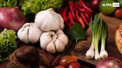 क्यों नवरात्र में नहीं खाते लहसुन प्याज? जान लीजिए जवाब